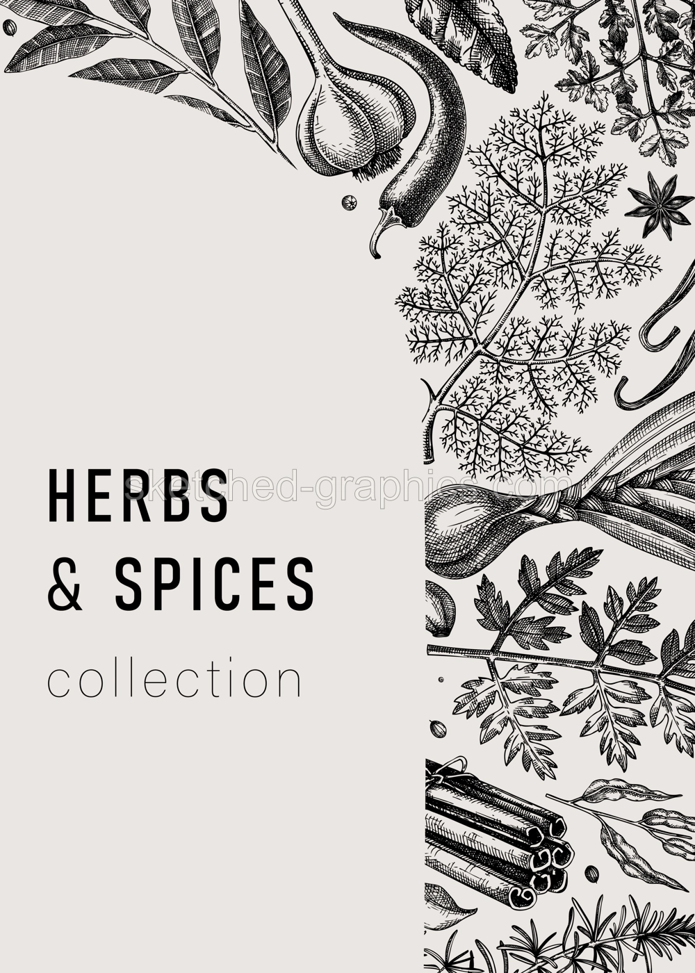 Hand-drawn herbs and spices vintage card. Hand-sketched food vector illustration. Aromatic plant drawings. Kitchen herbs and spice frame arc template in sketched style for invitation, menu, banners Illustration